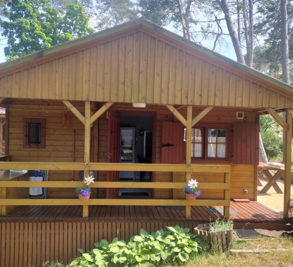 Domek MONA150mBaltic Krynica Morska Zewnętrze zdjęcie